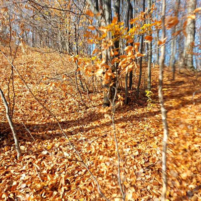 Vând teren intravilan Comuna Spulber