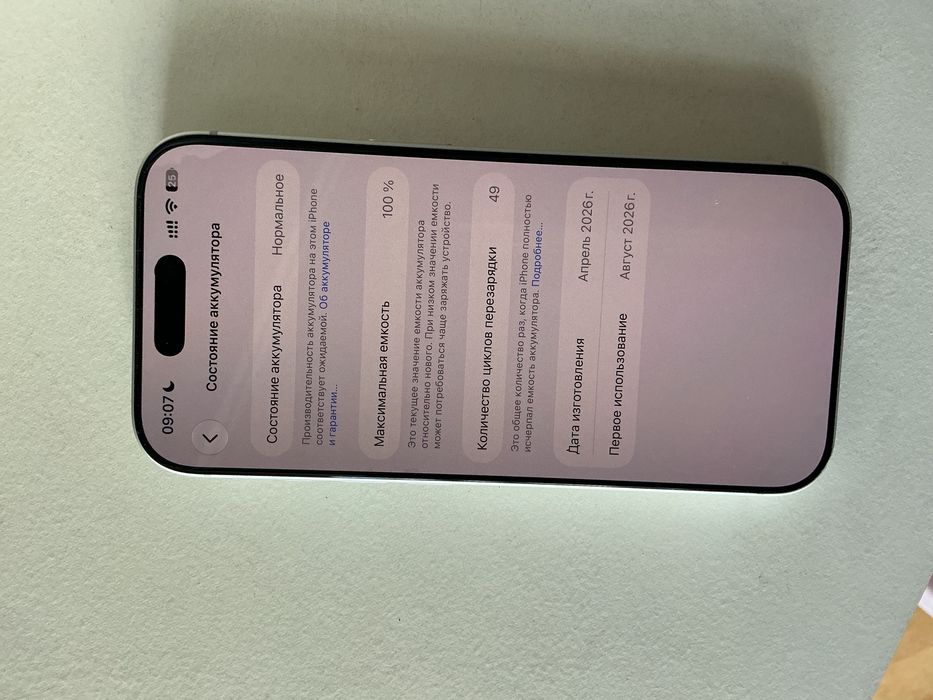 iPhone 17 Pro 256 ГБ, серебристый