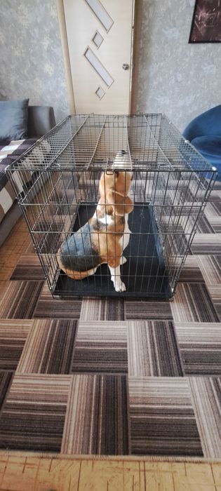 Продам варьер для собак