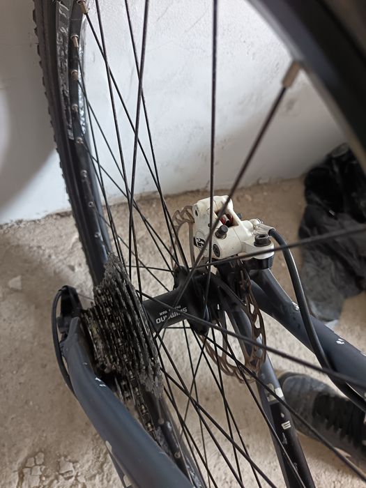 Bicicleta Bulls king boa