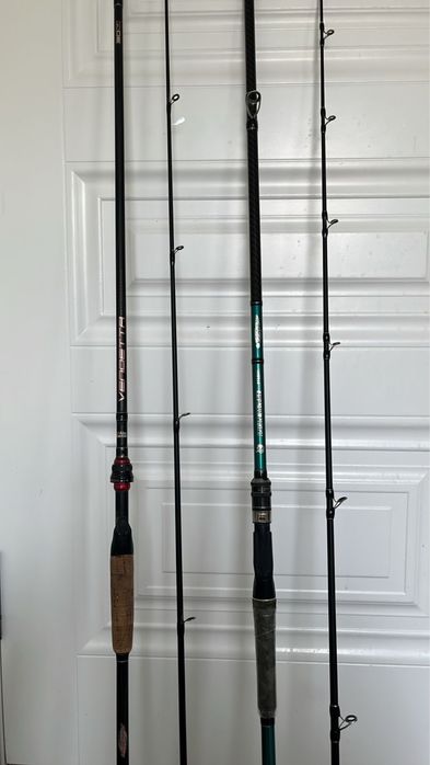 Спиннинги для ловли змееголова