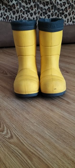 Резиновые сапоги