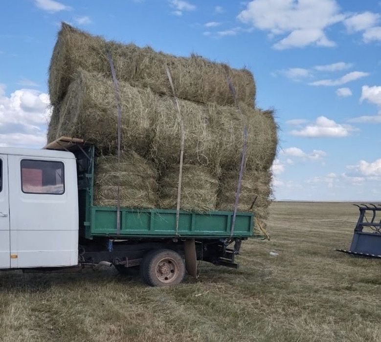 Сено в Тюках и Руллонах