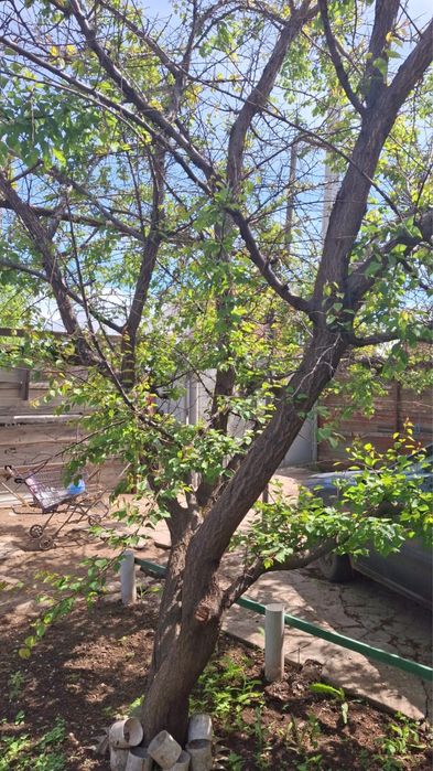 Продается частный дом или обмен