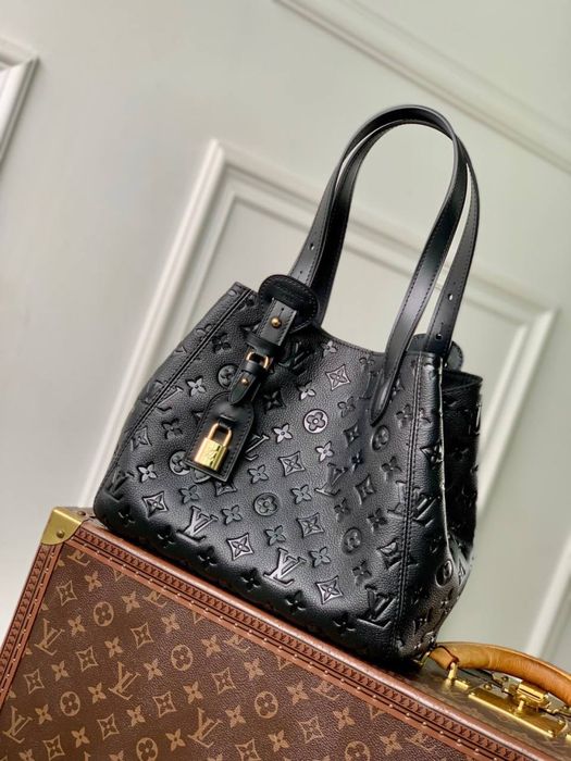 Geanta Louis Vuitton All in One