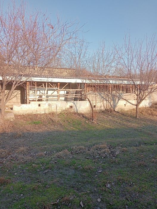 Асалому алкум йир учаска