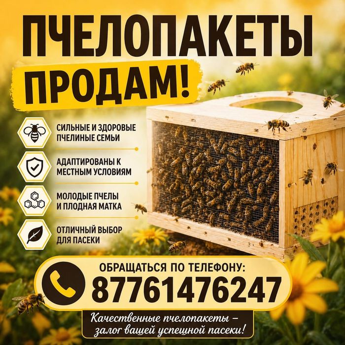 Продам пчелопакеты