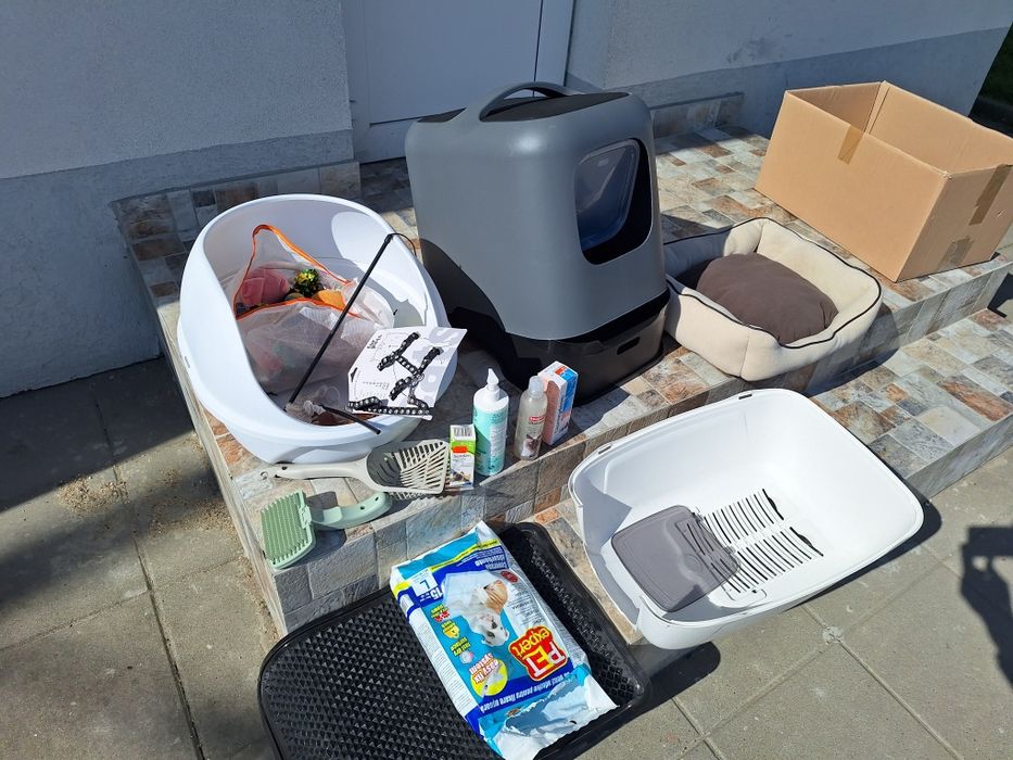 Accesorii pentru pisici