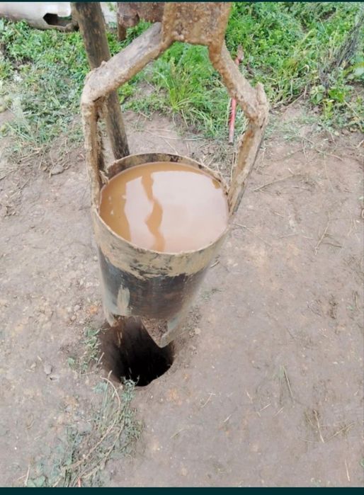 Foraje puțuri de apa