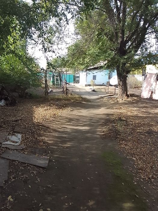 IPhoni  11 C гарантия