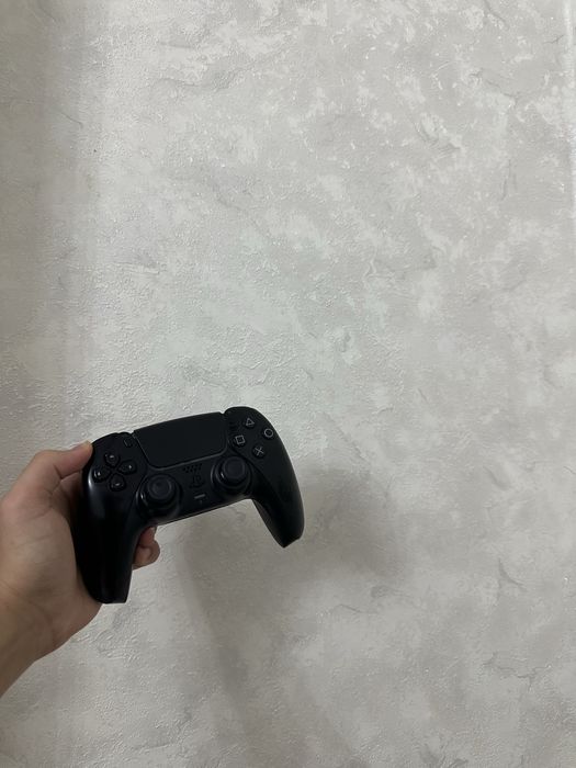 DualSense Wireless Controller на пс 5