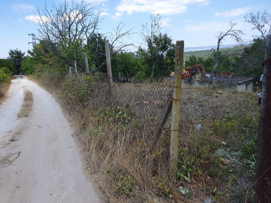 Рязане на храсти,растителности ,опасни  дървета ,парцели и дворове