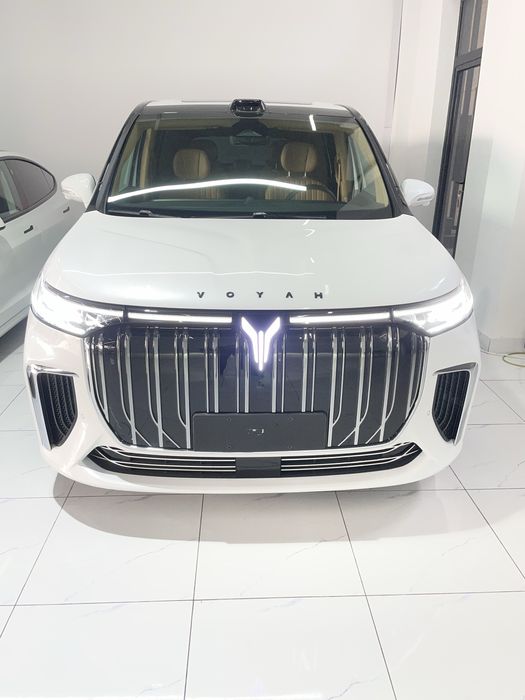 Voyah driamer идеальным состоянии