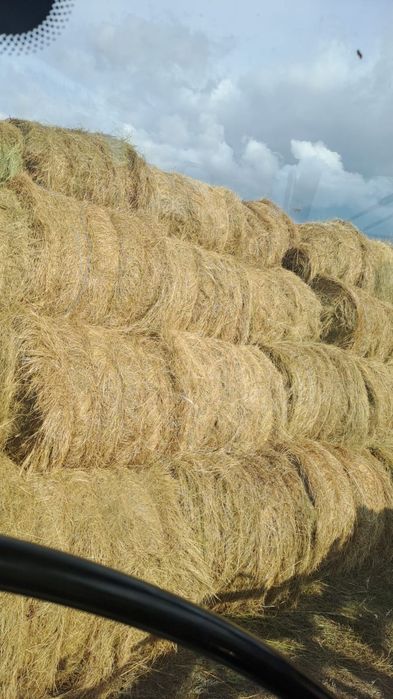 Сено луговое в тюках