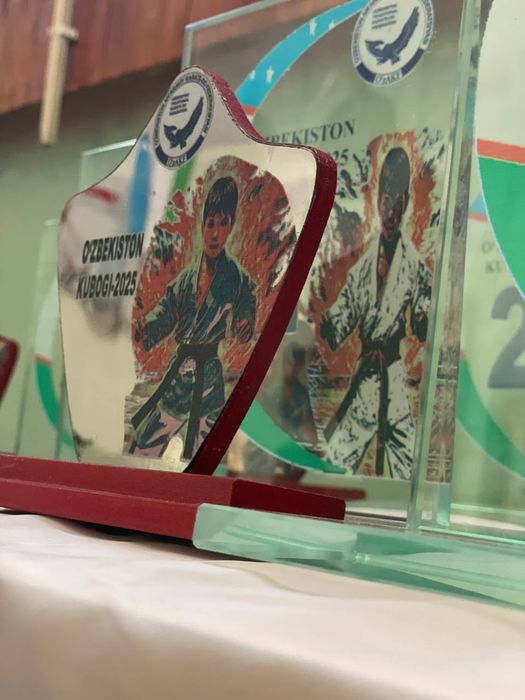 Кубок, Медаль, Чемпионлик камар,Диплом