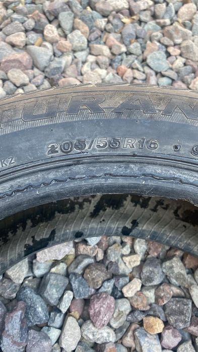 Жаздык донгелектер