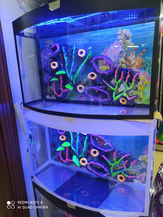 Akvarium yengi avalniy 50 litr