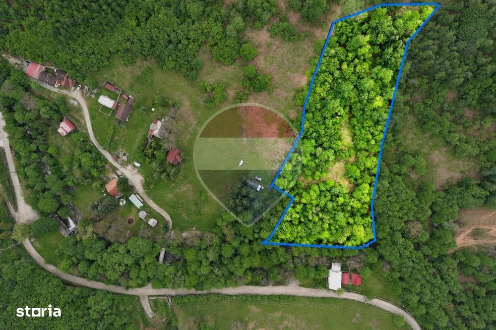 Teren intravilan, 6700 mp, Curent, Zonă populată, Apuseni, zona Boga