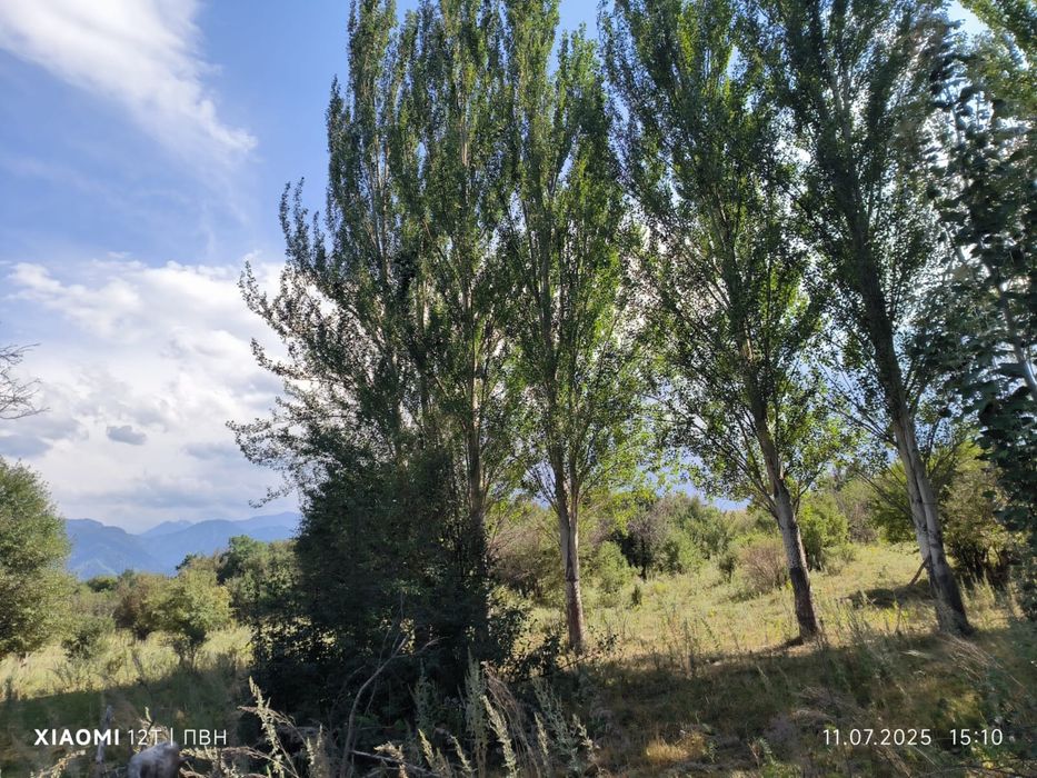 Перспективный участок