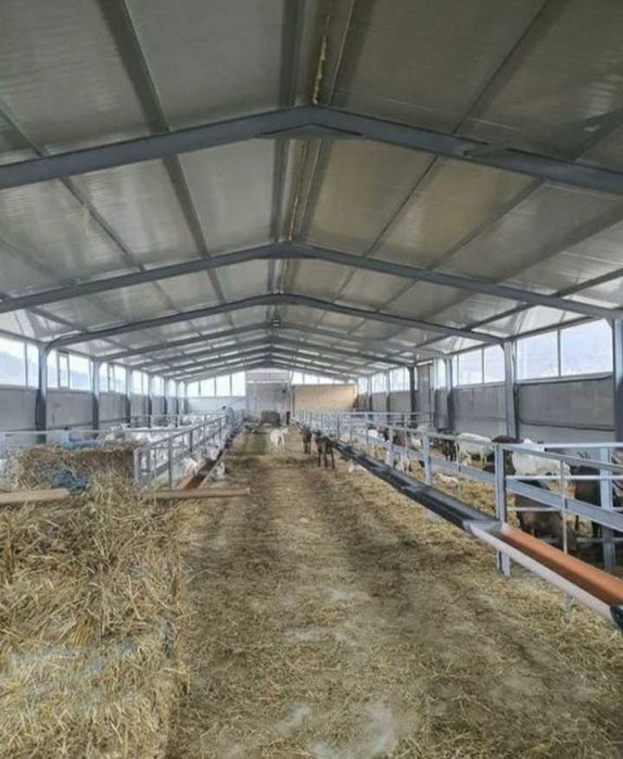 Structuri hale confectii metalice, saivane depozite siloz hangar garaj