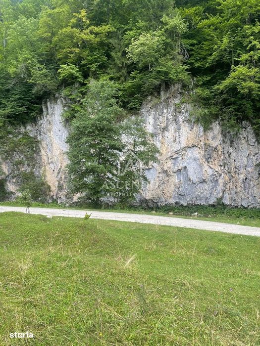 Teren Investiție Turistică Dâmbovicioara Baranga | 4.500 mp