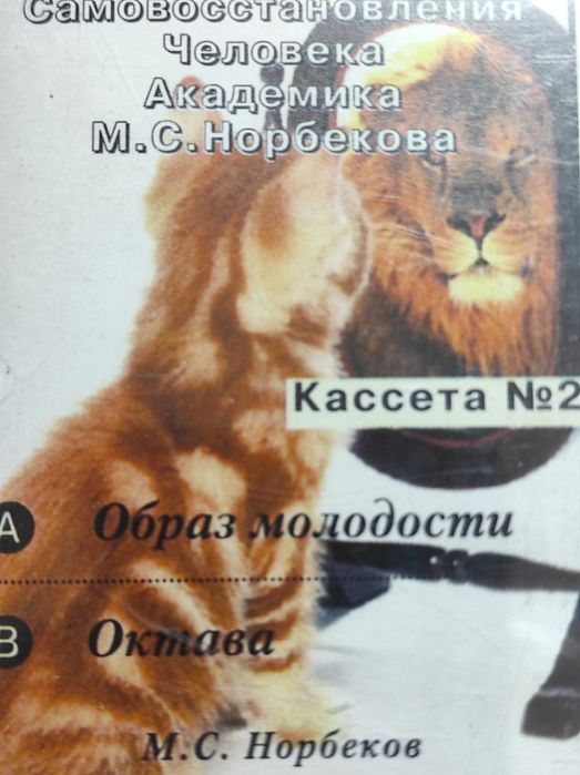 Аудиокурс М. Норбекова