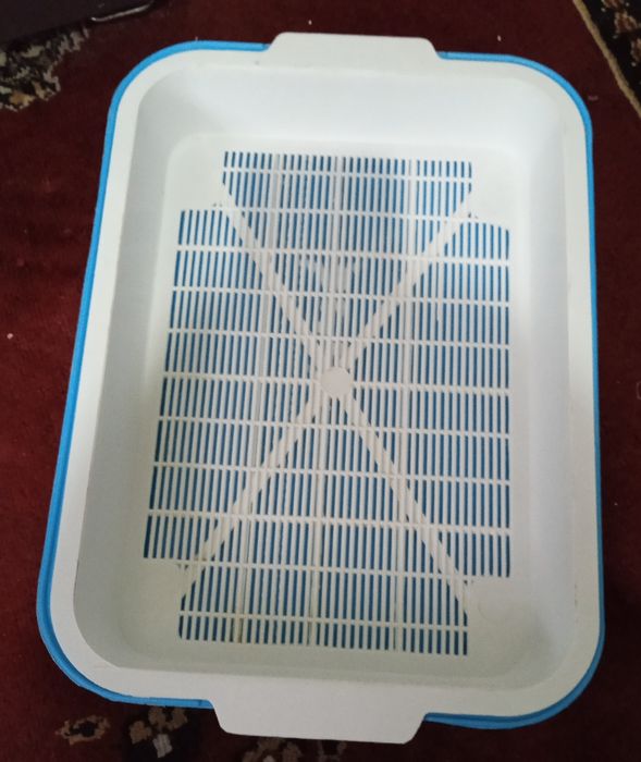 Принадлежности для кошки