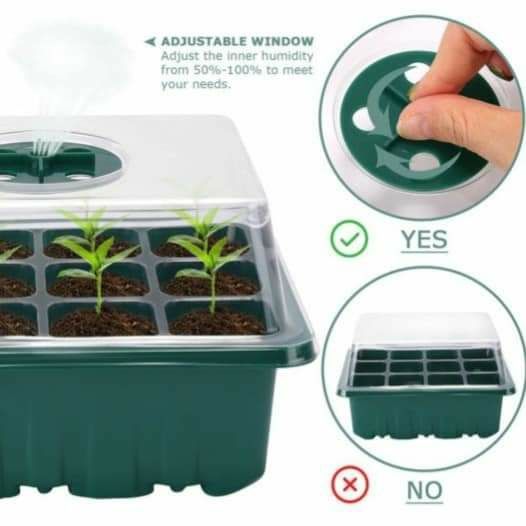 Tavă pentru seminte/răsaduri