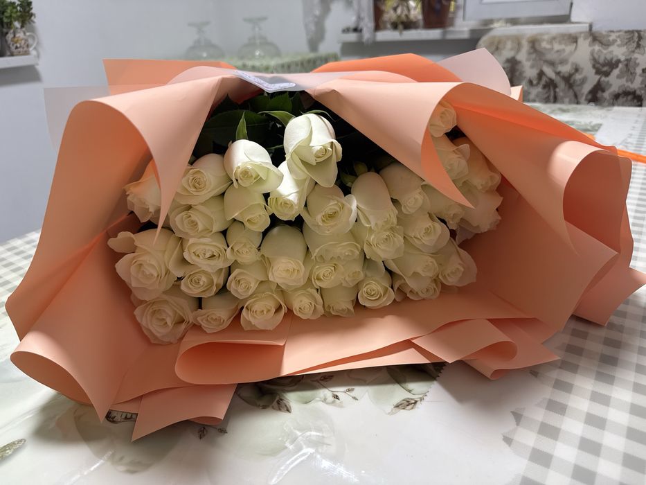 Гурдер арзан багада