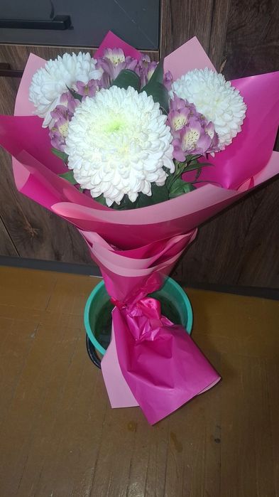 Цветы живые хризантема