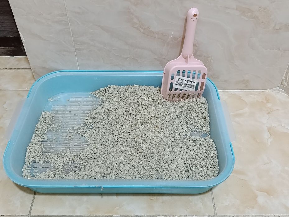 Всем здравствуйте! Срочно продаю ЕГИПЕТСКОГО КОТЕНКА домашняя, чистая.