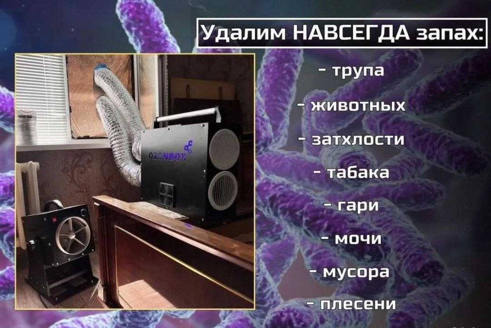 Дезинфекция! Тараканы снова появились? Пора решить проблему