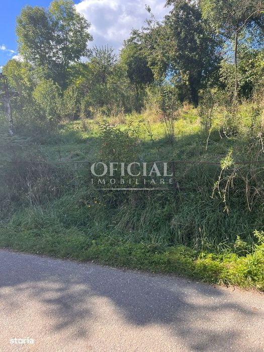 Oportunitate!!! Teren Intravilan 2771 Mp Zona Ciurila  Posibil Rate