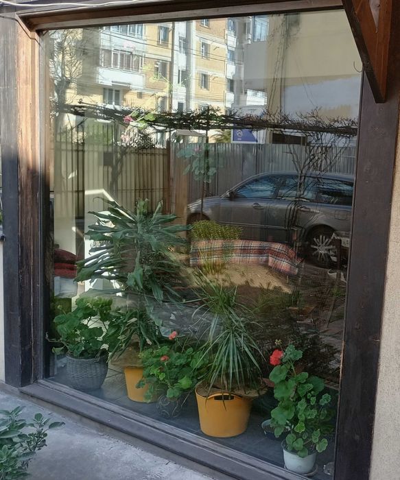 Fereastră fixă din lemn