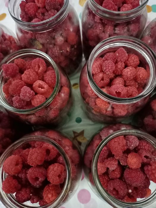 Малина и черная смородина