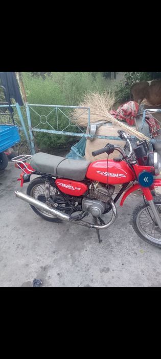 Minsk mototsikl baloni yangi