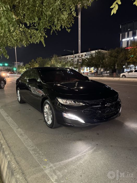 Malibu 2022 premier