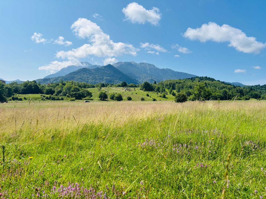 teren de vanzare Rasnov