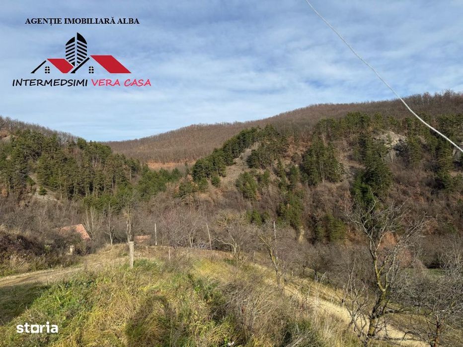 Teren intravilan 13698 mt  de vanzare Inuri Jud Alba