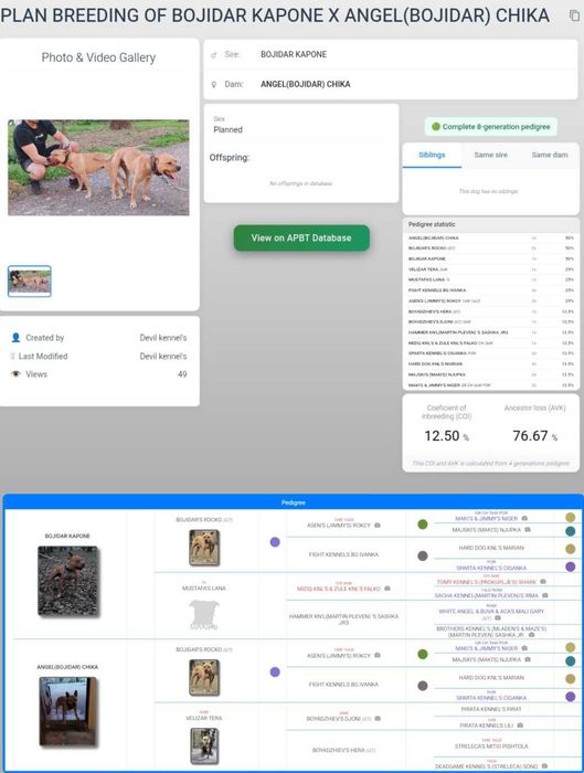 Кутрета с родословие Топ!