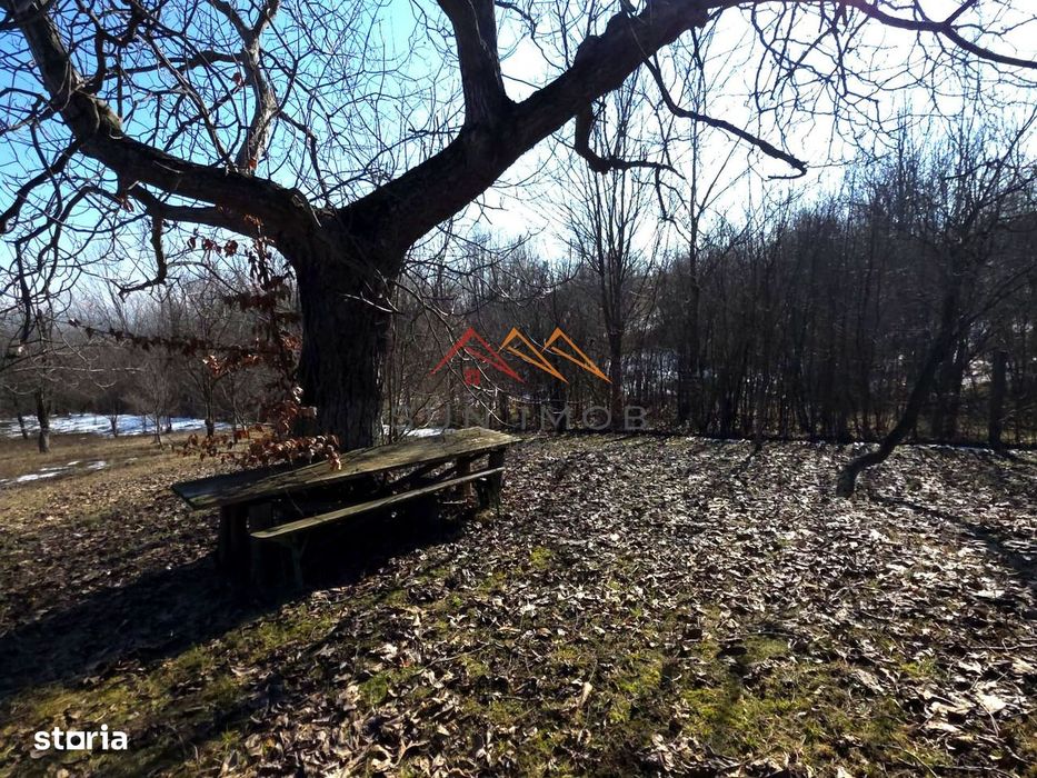 Casă Individuală Cu Livadă | 2.195 Mp Teren | Poiana Câmpina