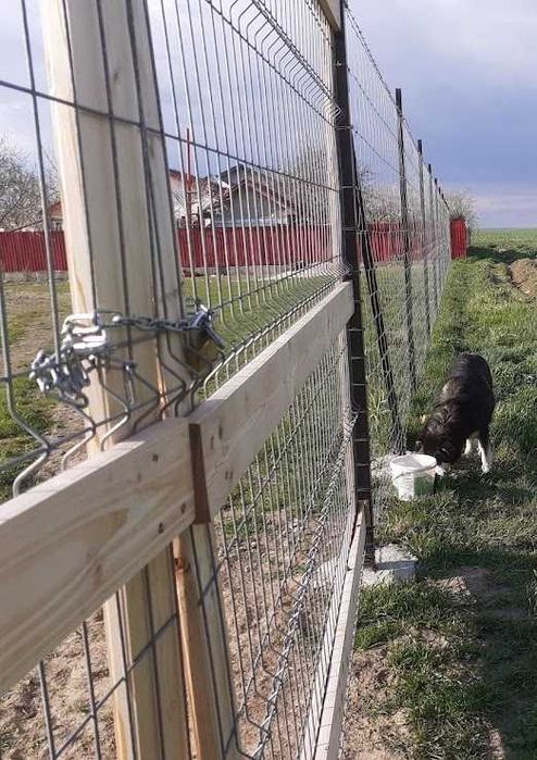 Teren intravilan de vanzare sau  inchiriere Glina 500 mp zona aerisita utilitati la limita proprietatii