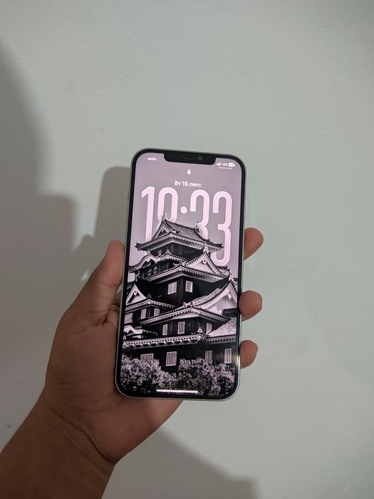 Iphone 12 Pro Max