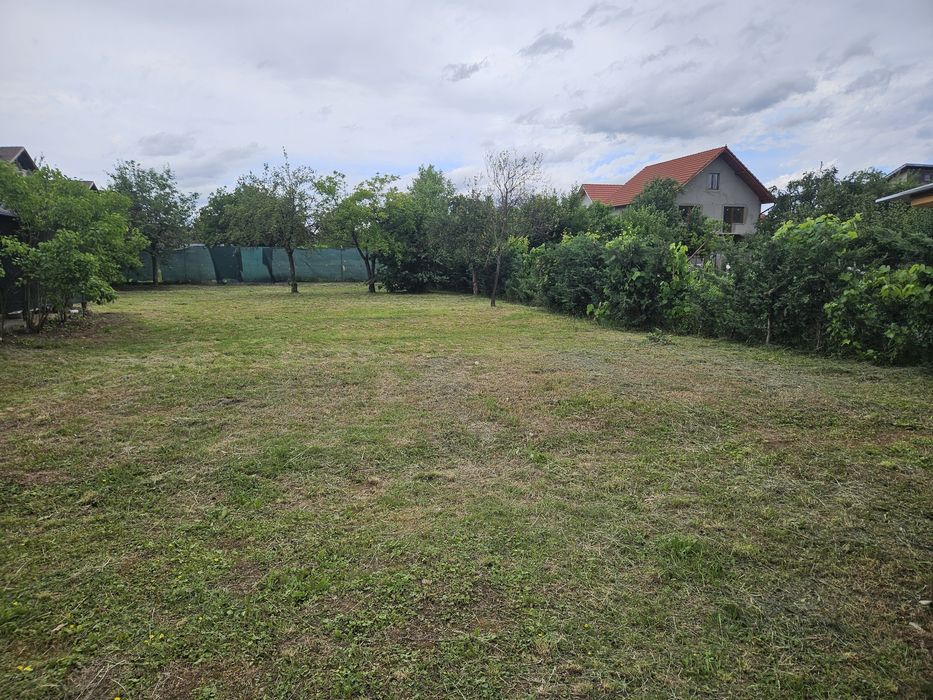 Vand proprietate front doua strazi Beius