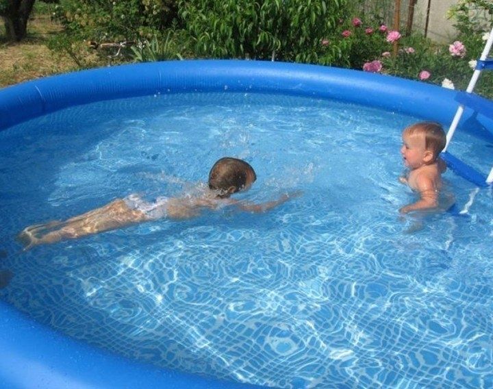 Kattalar va bollar uchun BASSEN