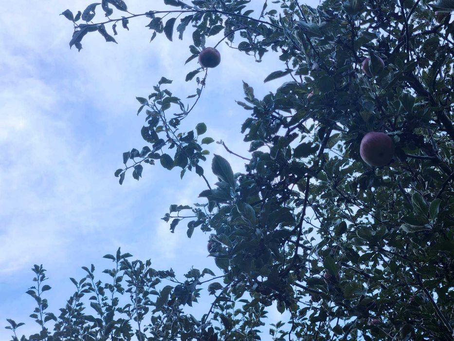 Продава се Парцел в Благоевград, Идеален център - 600 кв.м за 117 €/кв.м - Снимка #16