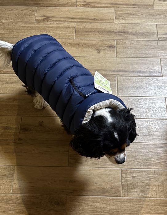 Geaca groasa pentru catei marimea 40