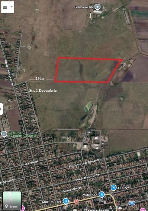 Teren agricol/pășune - extravilan Nadlac