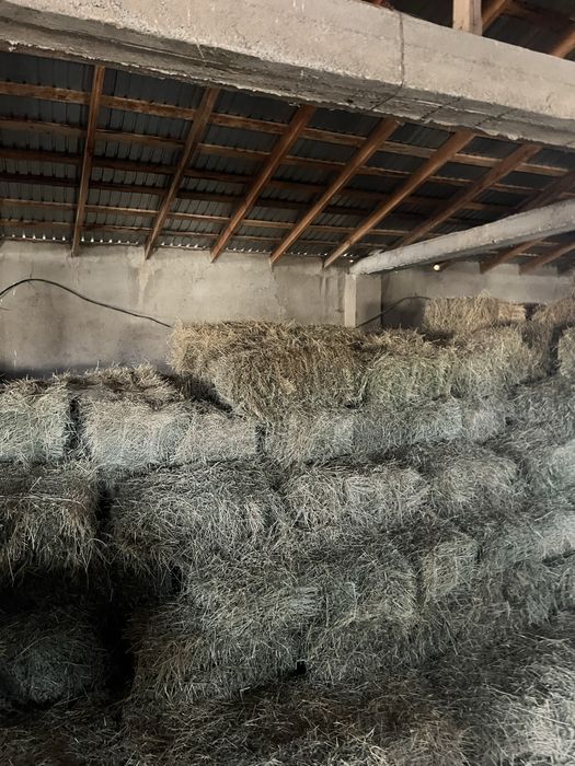 Прес, тюк бар сатылатын