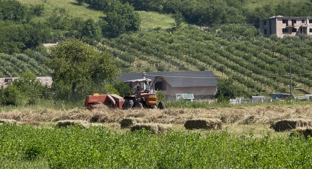 Vând baloți de otavă și fân